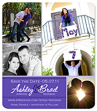 Rose Petal Numbers Save the Date